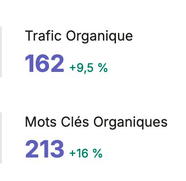 Trafic organique +9,5%, mots-clés +16%